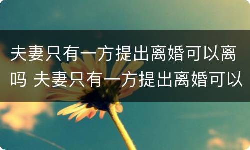 夫妻只有一方提出离婚可以离吗 夫妻只有一方提出离婚可以离吗