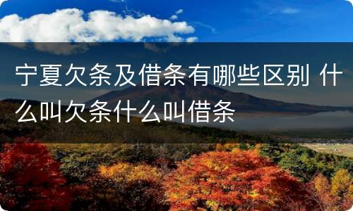 宁夏欠条及借条有哪些区别 什么叫欠条什么叫借条