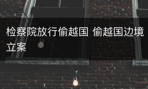 检察院放行偷越国 偷越国边境立案