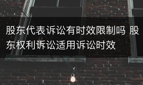 股东代表诉讼有时效限制吗 股东权利诉讼适用诉讼时效