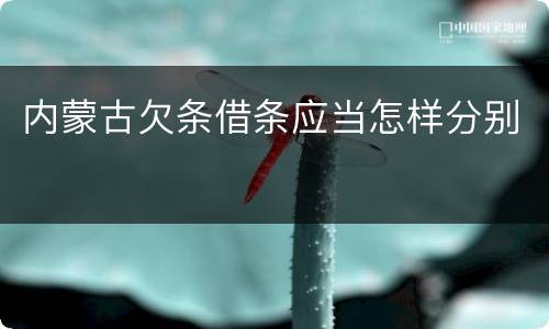 内蒙古欠条借条应当怎样分别
