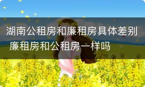 湖南公租房和廉租房具体差别 廉租房和公租房一样吗