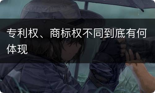 专利权、商标权不同到底有何体现