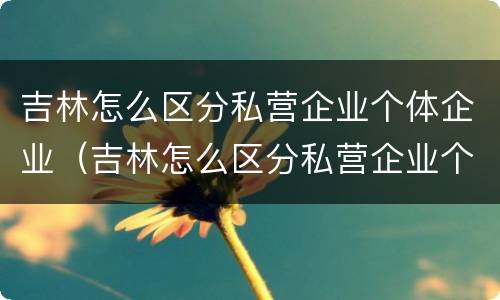 吉林怎么区分私营企业个体企业（吉林怎么区分私营企业个体企业和企业）
