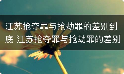 江苏抢夺罪与抢劫罪的差别到底 江苏抢夺罪与抢劫罪的差别到底是什么