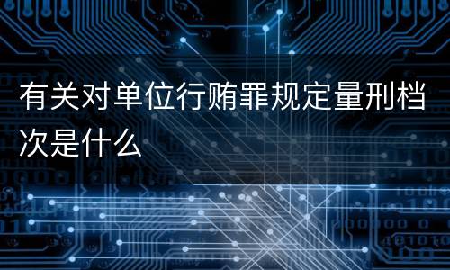 有关对单位行贿罪规定量刑档次是什么