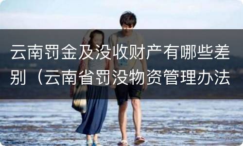 云南罚金及没收财产有哪些差别（云南省罚没物资管理办法）