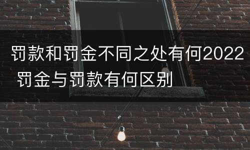 罚款和罚金不同之处有何2022 罚金与罚款有何区别