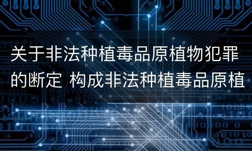 关于非法种植毒品原植物犯罪的断定 构成非法种植毒品原植物罪的情形