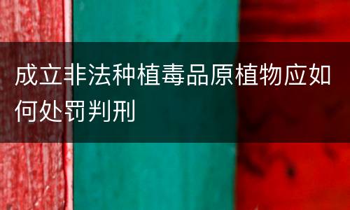 成立非法种植毒品原植物应如何处罚判刑
