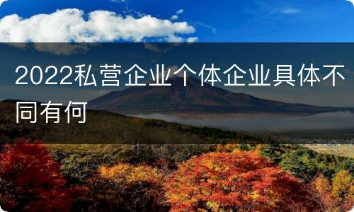 2022私营企业个体企业具体不同有何