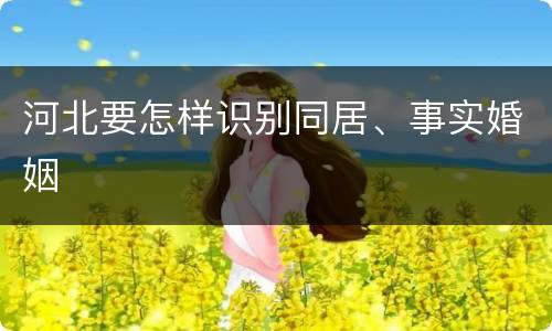 河北要怎样识别同居、事实婚姻