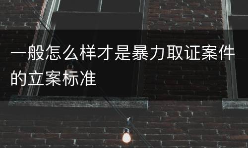 一般怎么样才是暴力取证案件的立案标准