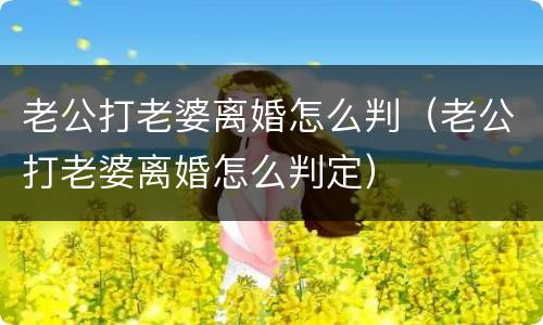 老公打老婆离婚怎么判（老公打老婆离婚怎么判定）