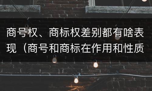 商号权、商标权差别都有啥表现（商号和商标在作用和性质上有较大区别）