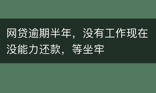 网贷逾期半年，没有工作现在没能力还款，等坐牢