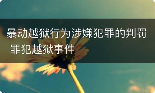 暴动越狱行为涉嫌犯罪的判罚 罪犯越狱事件