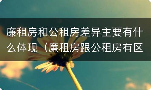 廉租房和公租房差异主要有什么体现（廉租房跟公租房有区别吗）