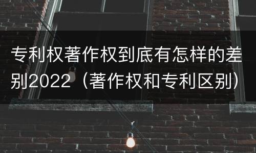 专利权著作权到底有怎样的差别2022（著作权和专利区别）