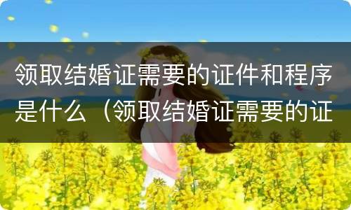领取结婚证需要的证件和程序是什么（领取结婚证需要的证件和程序是什么呢）