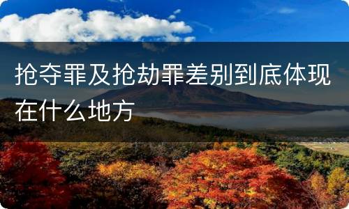 抢夺罪及抢劫罪差别到底体现在什么地方