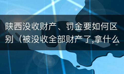 陕西没收财产、罚金要如何区别（被没收全部财产了,拿什么交罚金）