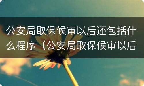 公安局取保候审以后还包括什么程序（公安局取保候审以后还包括什么程序呢）
