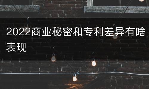 2022商业秘密和专利差异有啥表现