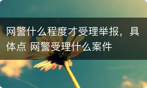网警什么程度才受理举报，具体点 网警受理什么案件