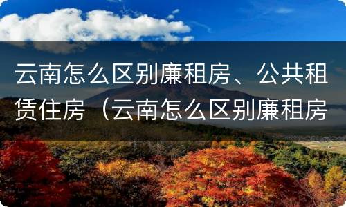 云南怎么区别廉租房、公共租赁住房（云南怎么区别廉租房,公共租赁住房和商品房）