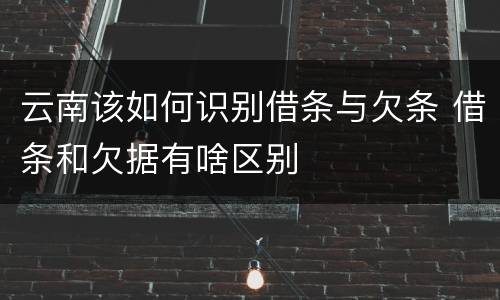 云南该如何识别借条与欠条 借条和欠据有啥区别