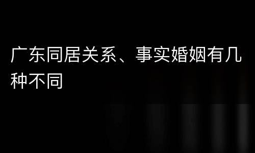 广东同居关系、事实婚姻有几种不同
