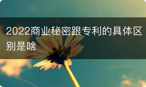 2022商业秘密跟专利的具体区别是啥