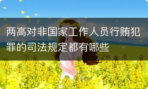 两高对非国家工作人员行贿犯罪的司法规定都有哪些