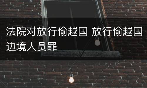 法院对放行偷越国 放行偷越国边境人员罪