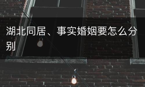 湖北同居、事实婚姻要怎么分别