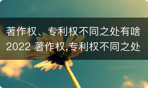 著作权、专利权不同之处有啥2022 著作权,专利权不同之处有啥2022年的