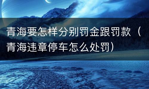 青海要怎样分别罚金跟罚款（青海违章停车怎么处罚）