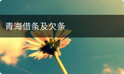青海借条及欠条