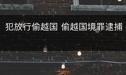 犯放行偷越国 偷越国境罪逮捕