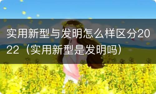 实用新型与发明怎么样区分2022（实用新型是发明吗）