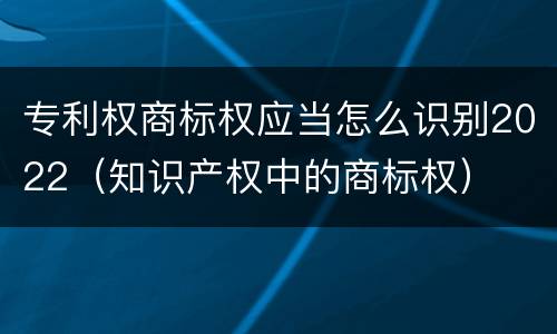 专利权商标权应当怎么识别2022（知识产权中的商标权）