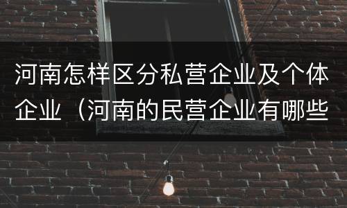 河南怎样区分私营企业及个体企业（河南的民营企业有哪些）