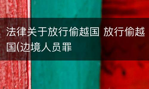 法律关于放行偷越国 放行偷越国(边境人员罪