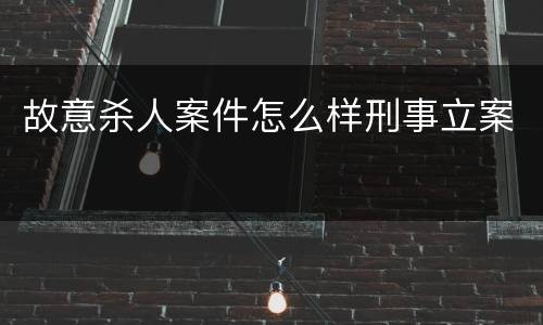 故意杀人案件怎么样刑事立案
