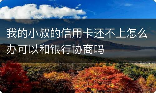 我的小叔的信用卡还不上怎么办可以和银行协商吗