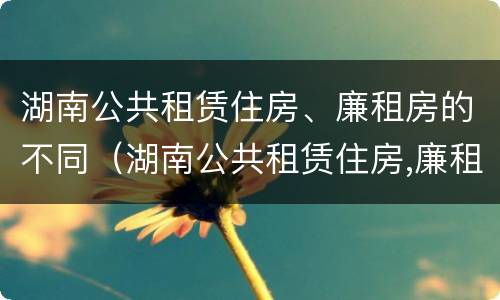 湖南公共租赁住房、廉租房的不同（湖南公共租赁住房,廉租房的不同标准）
