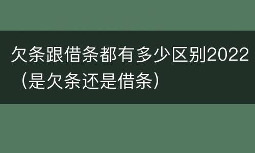 欠条跟借条都有多少区别2022（是欠条还是借条）