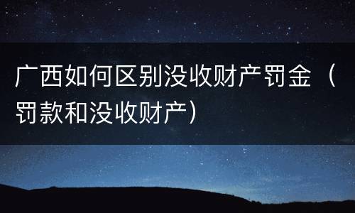 广西如何区别没收财产罚金（罚款和没收财产）