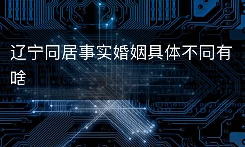 辽宁同居事实婚姻具体不同有啥